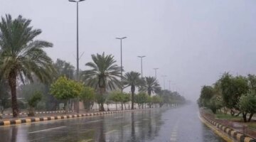ظهور نادر.. أمطار الهريف تغمر سماء السعودية وتفاجئ المزارعين