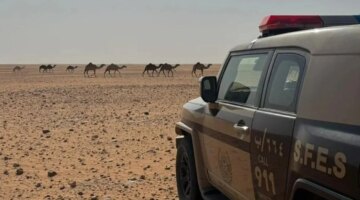 رسميًا.. ضبط مواطن يُخالف قواعد الرعي في محمية الإمام عبدالعزيز بن محمد