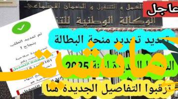 فرصة سنوية.. تجديد منحة البطالة 2025 إلكترونياً