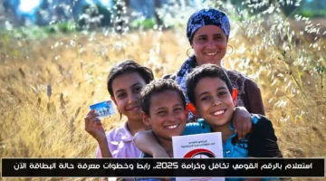 رسميًا.. استعلام تكافل وكرامة 2025 بالرقم القومي: خطوات معرفة حالة البطاقة الآن