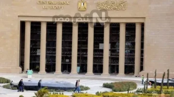 رسميًا.. طارق الخولي محافظًا للبنك المركزي خلفًا لحسن عبد الله؟