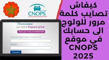 رسميًا.. تأمين صحي أيسر متكامل للعائلة: رابط التسجيل في خدمة كنوبس الجديدة بالمغرب