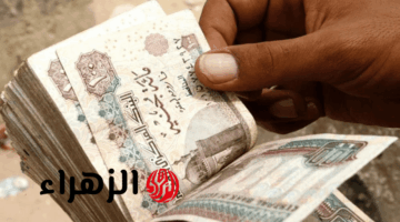 بشرى سارة.. 500 جنيه زيادة لمعاشات هذه الفئة بدءًا من 15 أكتوبر