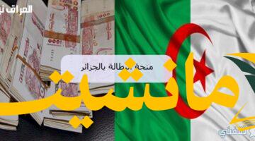 هام.. تجديد منحة البطالة الجزائرية 2025: خطوات بسيطة