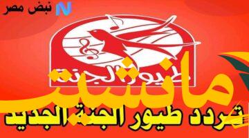 عاجل.. تردد قناة طيور الجنة الجديد على نايل سات وعرب سات بجودة عالية