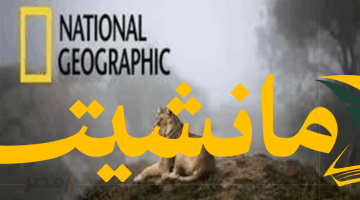 عشاق ناشيونال جيوغرافيك.. ترددات القناة على نايل سات وعربسات 2025  للاستمتاع بعالم الحيوان