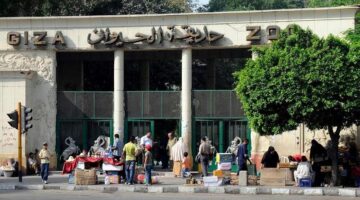 مفاجأة في سعر التذكرة.. تعرف على أسعار تذاكر حديقة الحيوان وموعد افتتاحها