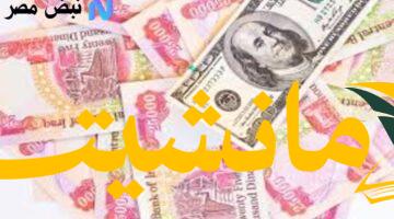 عاجل.. سعر الدولار مقابل الدينار اليوم (4 أغسطس 2025) تحديث لحظي من البنوك