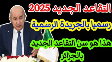 خبر عاجل.. تعديلات سن التقاعد بالجزائر تدعم المرأة وتراعي خصوصيتها