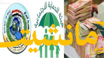 عاجل..كشوفات الرعاية الاجتماعية 2025 من وزارة العمل: تحقق من اسمك الآن عبر المنصة