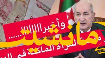 دعم غير مسبوق.. منحة المرأة الماكثة في البيت 2025: شروط التقديم وخطوات الحصول عليها