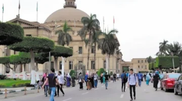 الدرجات المطلوبة للقبول.. دليل شامل لكليات القبول لطلاب الدبلومات الفنية والمعاهد العليا 2025/2026