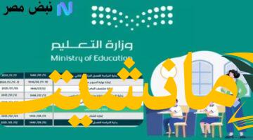 عودة المدارس..  موعد الدراسة 1447هـ  واستعدادات الطلاب والمعلمين