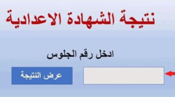 نتيجة الصف الثالث الاعدادي الدور الثاني 2025 بجميع المحافظات.. الرابط الرسمي للاستعلام برقم الجلوس