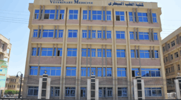 نتيجة تنسيق كلية الطب البيطري 2025.. الحد الأدنى المتوقع لطلاب علمي علوم
