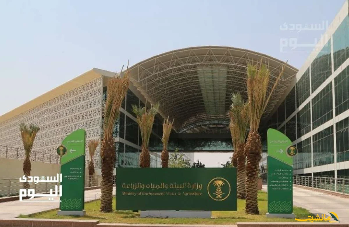 رسميًا.. حماية الشعب المرجانية والسلاحف البحرية بجدة بقرار مشترك بين وزارة البيئة و”شمس”