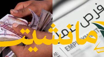 وظائف وزارة العمل 2025