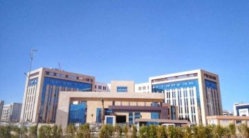 17814784271674721196