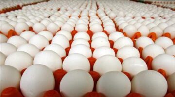 2022 10 14 22 12 26 490 1