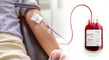 26 09 25 712842892.webp