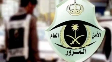 27 09 25 73316335.webp