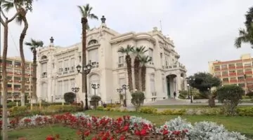 دليلك الشامل.. جامعة عين شمس تواصل فعاليات مهرجان استقبال الطلاب للعام الجامعي الجديد | اكتشف أبرز الخدمات والأنشطة الطلابية