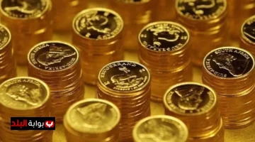 image 1200x675 68cd571a93e1d.webp