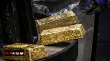 image 1200x675 68d0e97c94d69.webp