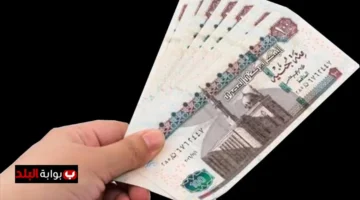 image 1200x675 68d67516555e0.webp