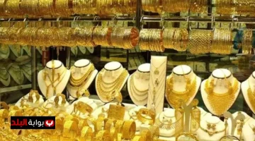 image 1200x675 68d70038cc261.webp