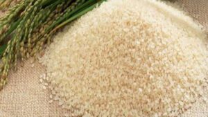 سعر طن الأرز الشعير اليوم الأربعاء 10 سبتمبر 2025 في الأسواق 4 الأرز الشعير