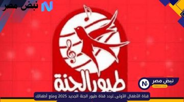 نبض مصر copy 20250919 061332 0000