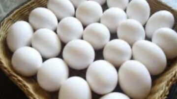 تحديثات الأسواق سعر كرتونة البيض للمستهلك في تعاملات الجمعة 2