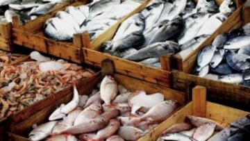 تحركات سوق العبور تباين أسعار السمك والمأكولات البحرية في تعاملات