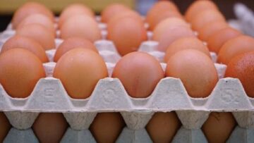 سعر كرتونة البيض تحديثات جديدة في أسواق الدواجن بمصر صباح