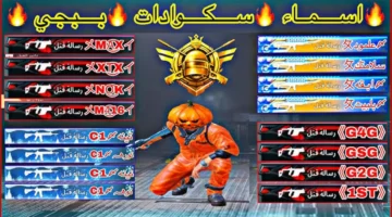 100 اسم نادر قائمة أسماء ببجي رمضانية جديدة 2024 لتميز.webp