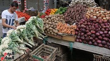 بأسعار تبدأ من 10 جنيهات قائمة الخضراوات في أسواق الدقهلية
