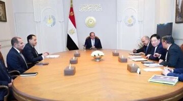 بشراكة صينية استثمارات ضخمة مرتقبة داخل مصر لتصنيع الألواح الشمسية