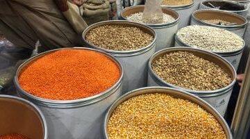 تحديثات الأسعار قائمة البقوليات في أسواق كفر الشيخ خلال تعاملات