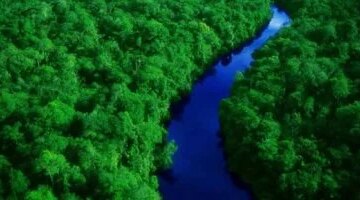 جفاف تاريخي مثلث الموت يهدد غابات الأمازون وسط حرائق وتعدين