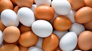 قائمة الأسعار الجديدة تذبذب أسعار السلع الغذائية الأساسية وأهم البقوليات