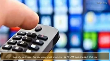 تردد قناة الأفلام الأجنبية AFLAM على نايل سات وعرب سات.webp