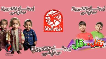 تردد قناة طيور بيبي 2026 الجديد بجودة عالية وخطوات التثبيت