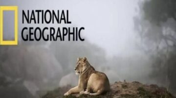 تردد قناة ناشيونال جيوغرافيك 2025 الجديد على نايل سات وعرب