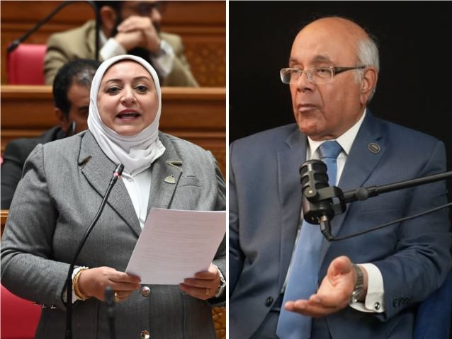 محلية النواب تجهز قانوني محليات استجابة لتوصيات الحوار الوطني ولجان الاستماع
