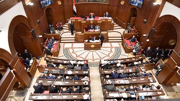 «الشيوخ» يقترح حرمانًا من مواقع التواصل يصل لـ3 سنوات لمكافحة المحتوى الهابط