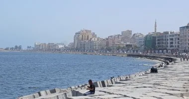 الطقس غدًا: أجواء ربيعية، شبورة ونشاط رياح.. 31 درجة العظمى بالقاهرة