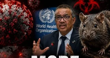 منظمة الصحة العالمية: ارتفاع عدد المصابين بفيروس هانتا إلى 12 حالة