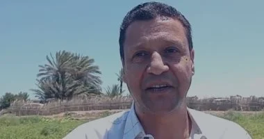 وزارة الزراعة تحسم جدل أزمة البطيخ ببلطيم: لا مشكلة قومية