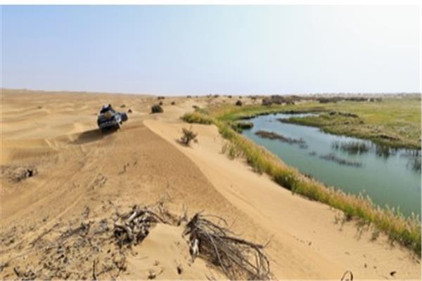 بعد تطويقها بحزام أخضر.. اكتشاف خزانات مياه ضخمة تحت صحراء تاكلامكان